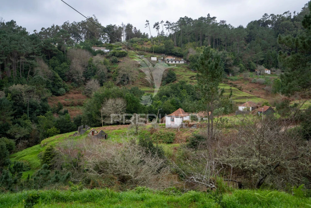 Terreno para Venda em Santo Antonio da Serra Foto 4