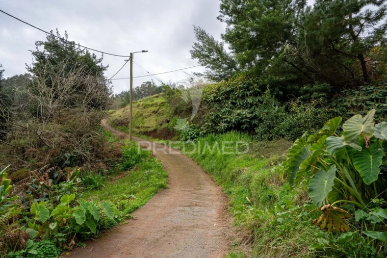 Terreno para Venda em Santo Antonio da Serra Foto 10