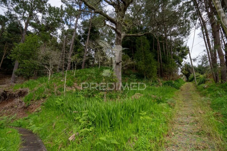 Terreno para Venda em Santo Antonio da Serra Foto 11