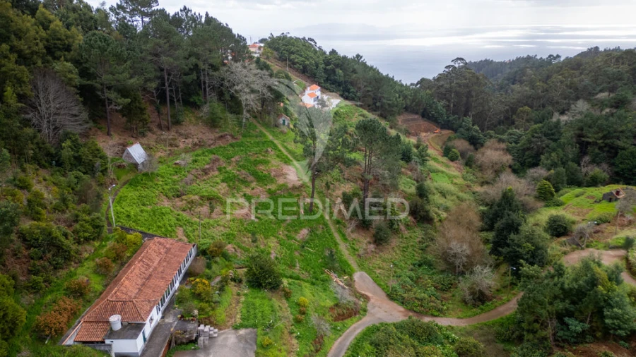 Terreno para Venda em Santo Antonio da Serra Foto 13