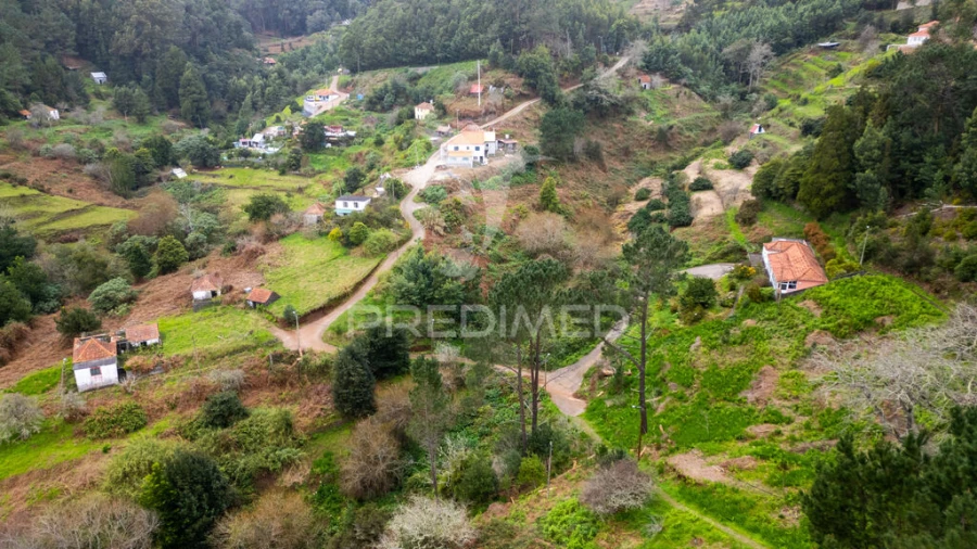 Terreno para Venda em Santo Antonio da Serra Foto 12