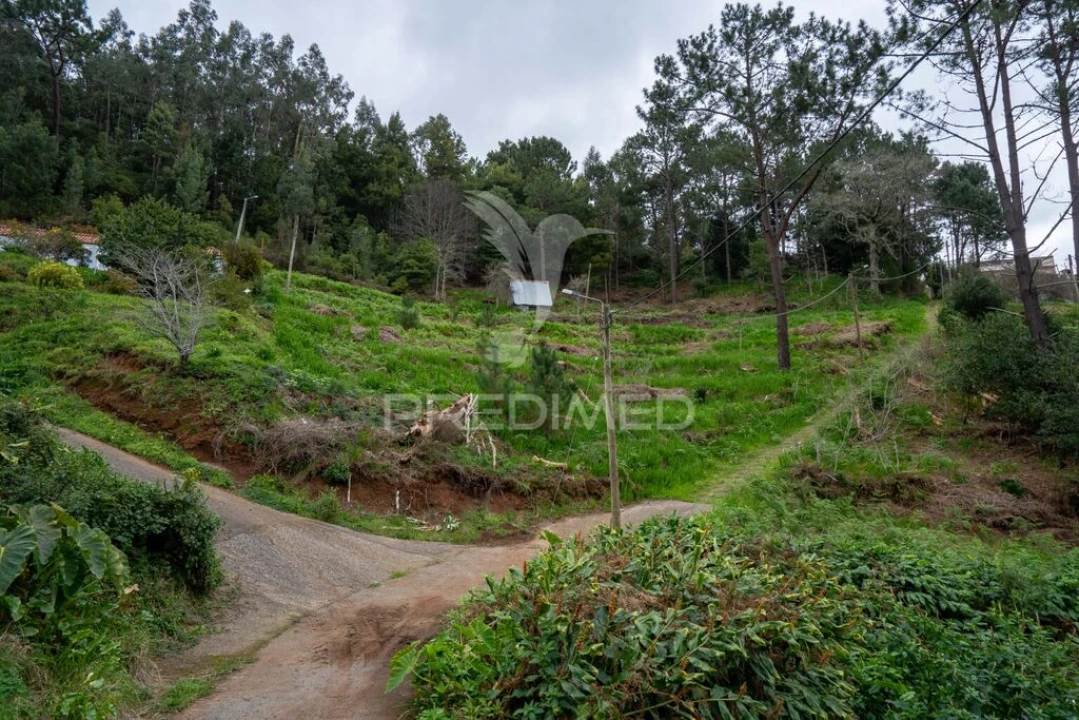 Terreno para Venda em Santo Antonio da Serra Foto 2