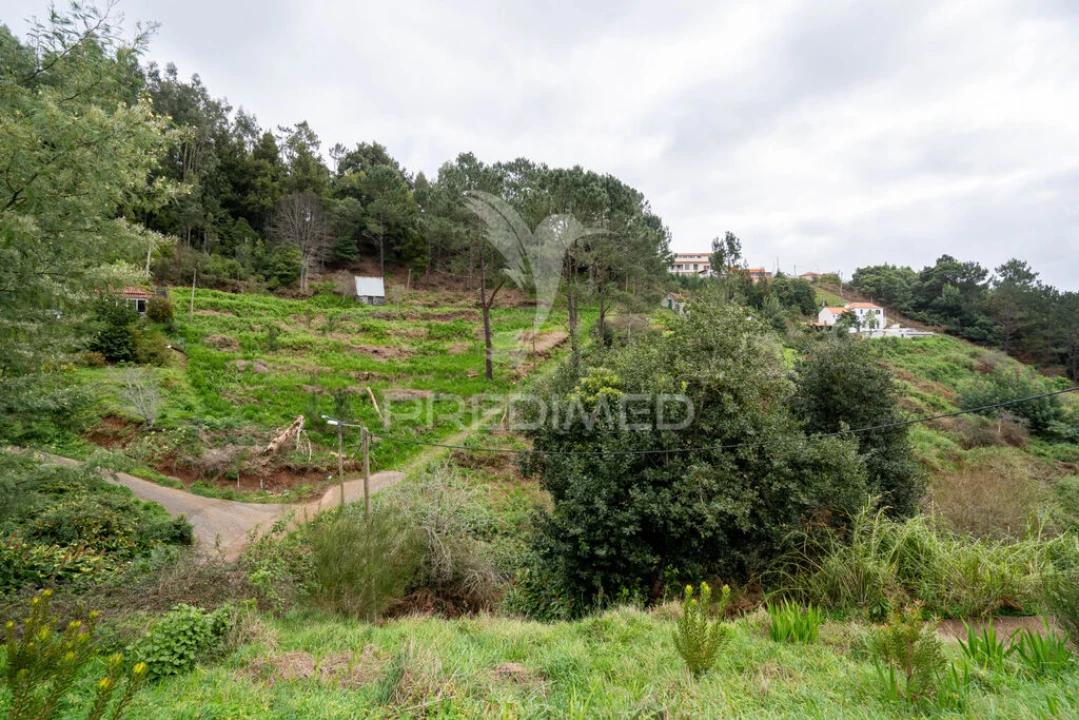 Terreno para Venda em Santo Antonio da Serra Foto 6