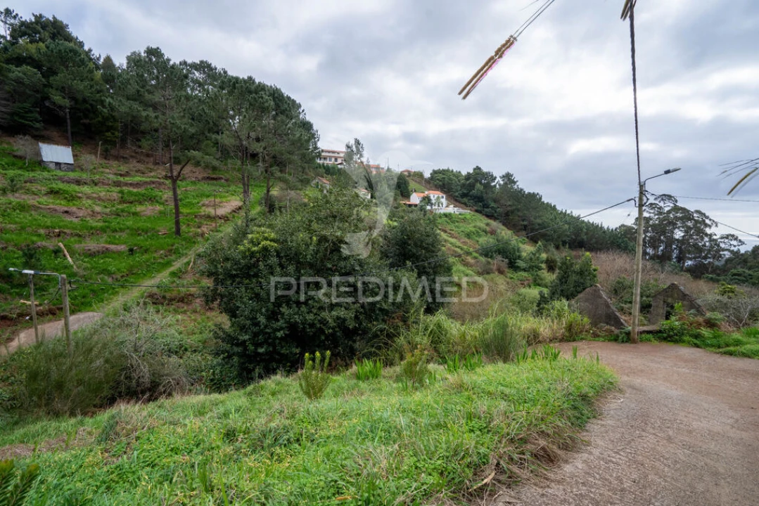 Terreno para Venda em Santo Antonio da Serra Foto 9