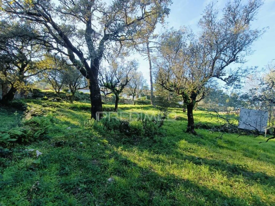 Moradia T2 para Venda em São Mamede Foto 10