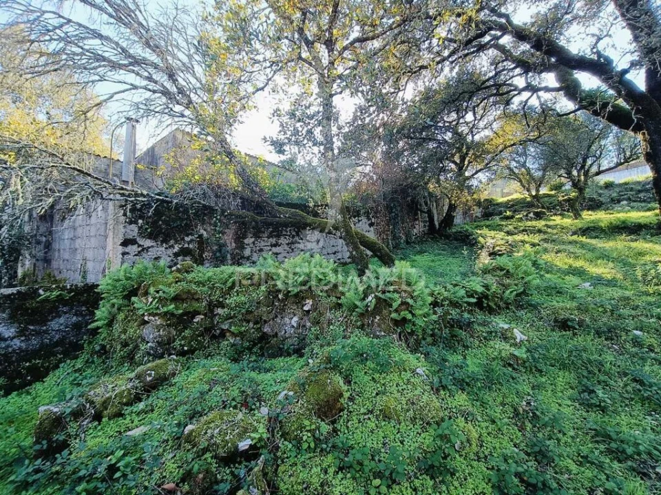 Moradia T2 para Venda em São Mamede Foto 8