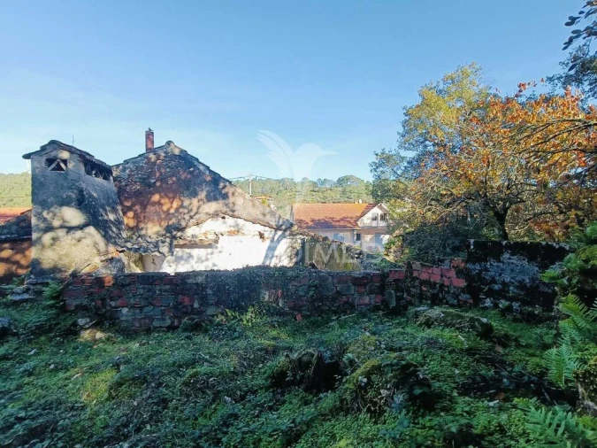 Moradia T2 para Venda em São Mamede Foto 13