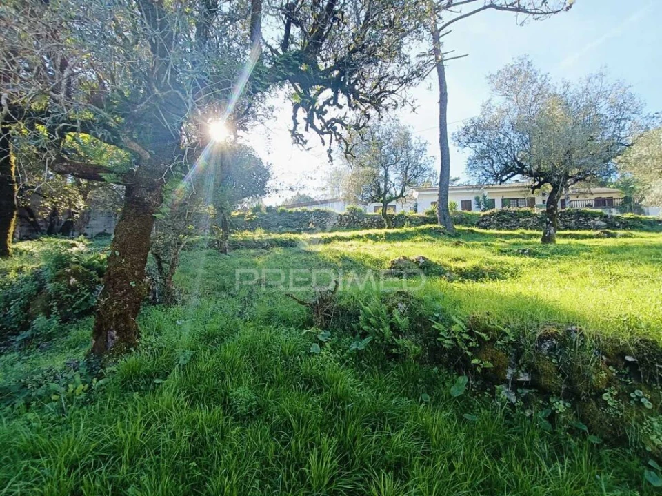 Moradia T2 para Venda em São Mamede Foto 11