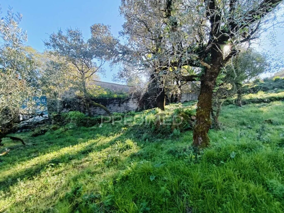 Moradia T2 para Venda em São Mamede Foto 12