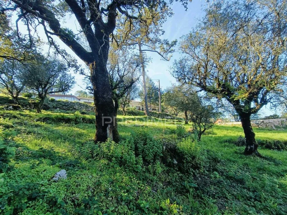 Moradia T2 para Venda em São Mamede Foto 16