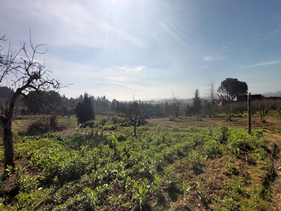 Terreno para Venda em Roliça Foto 2