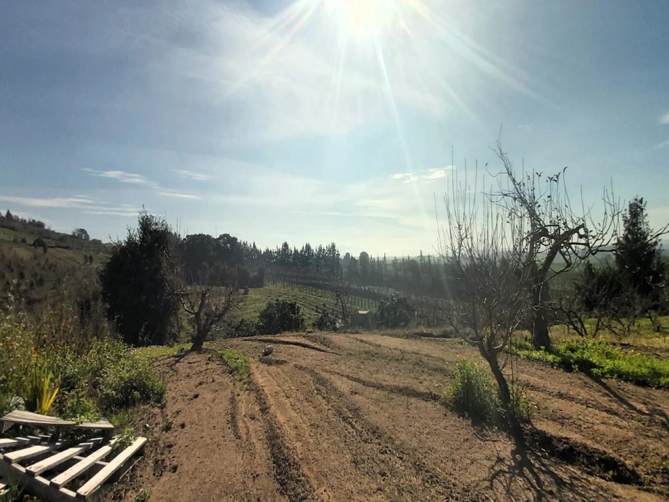 Terreno para Venda em Roliça Foto 5