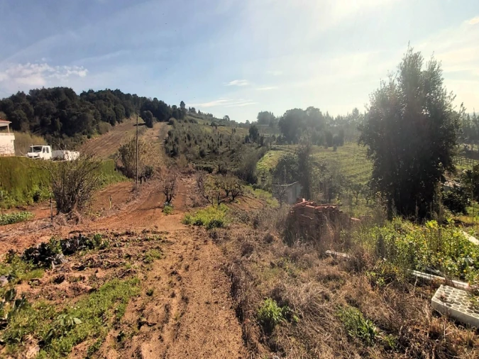 Terreno para Venda em Roliça Foto 3