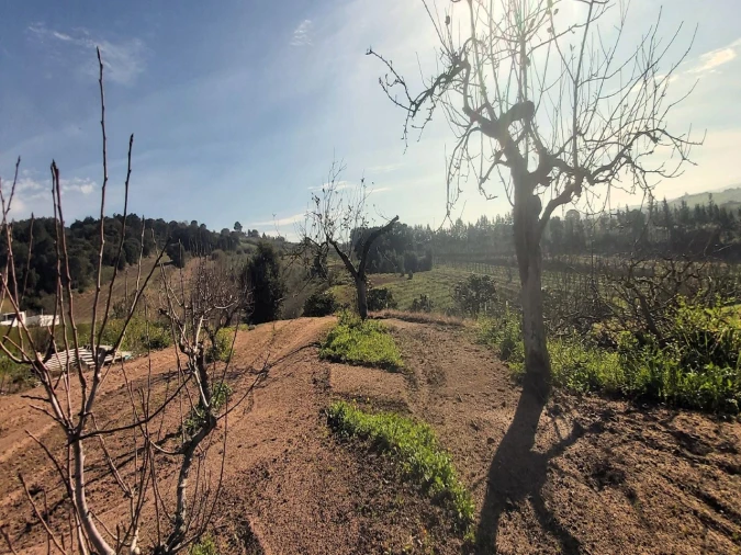 Terreno para Venda em Roliça Foto 4