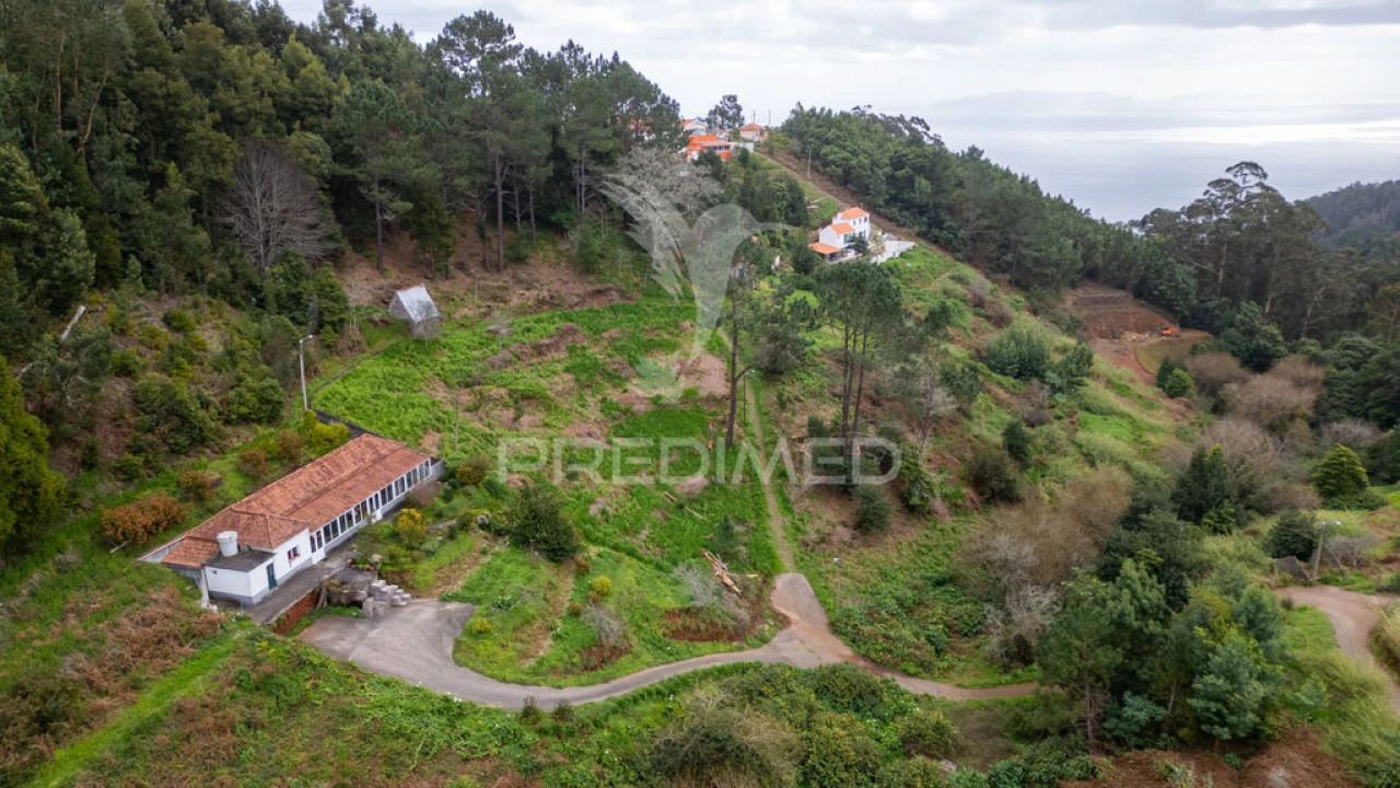 Terreno para Venda em Santo Antonio da Serra Foto 3