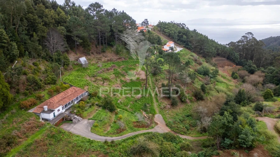 Terreno para Venda em Santo Antonio da Serra Foto 3