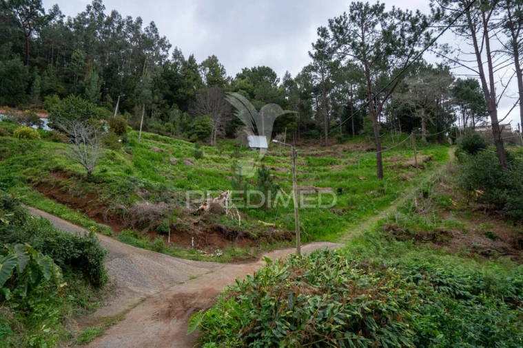 Terreno para Venda em Santo Antonio da Serra Foto 16