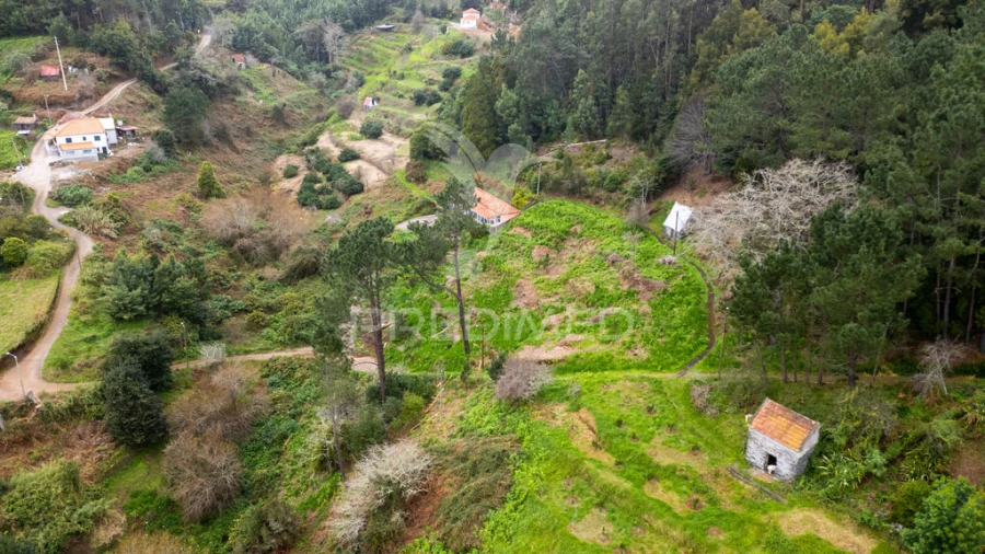 Terreno para Venda em Santo Antonio da Serra Foto 7