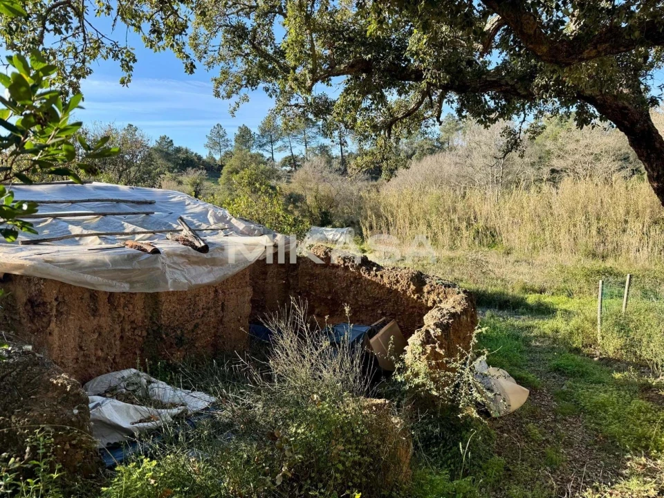 Terreno para Venda em Aljezur Foto 3