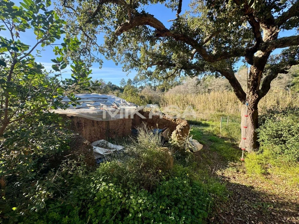 Terreno para Venda em Aljezur Foto 1