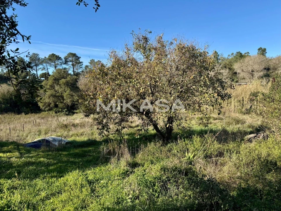 Terreno para Venda em Aljezur Foto 2