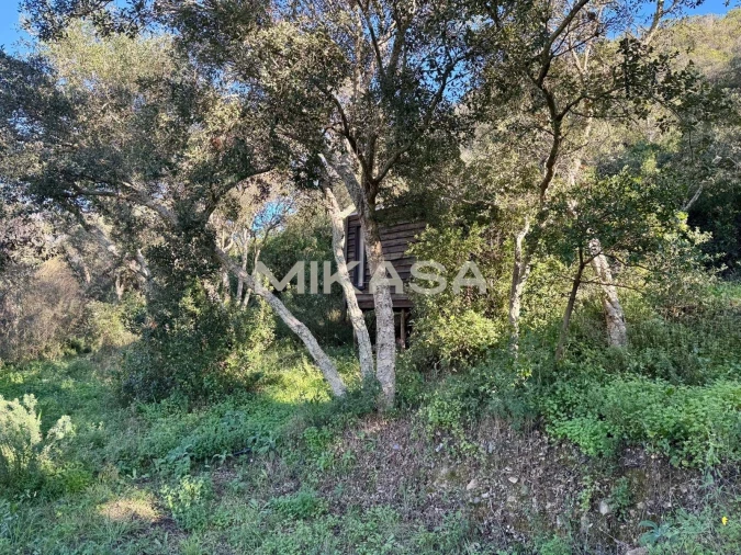 Terreno para Venda em Aljezur Foto 13