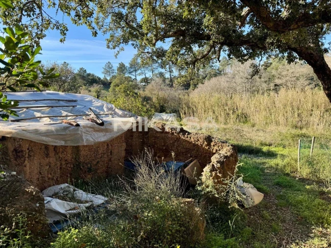 Terreno para Venda em Aljezur Foto 3