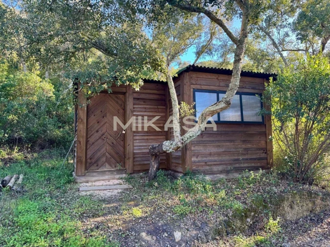 Terreno para Venda em Aljezur Foto 7