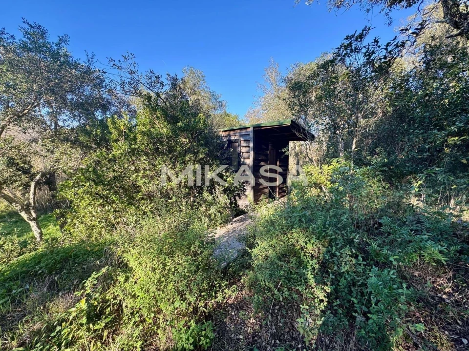 Terreno para Venda em Aljezur Foto 16