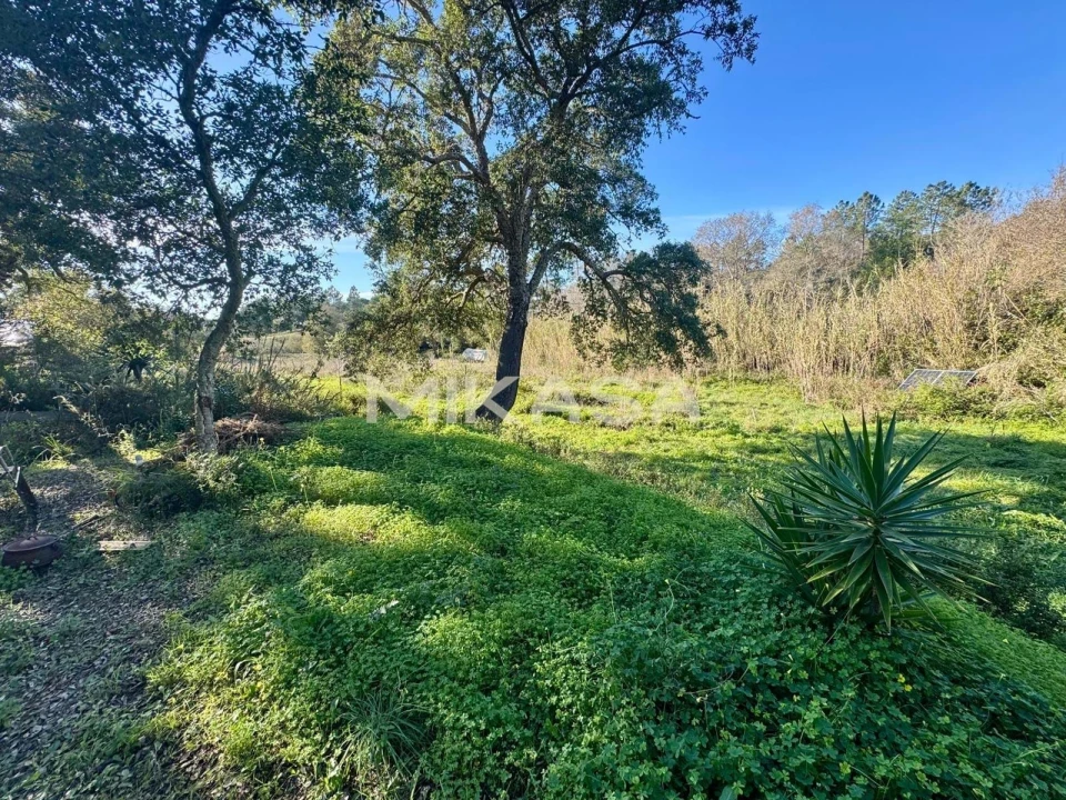 Terreno para Venda em Aljezur Foto 17