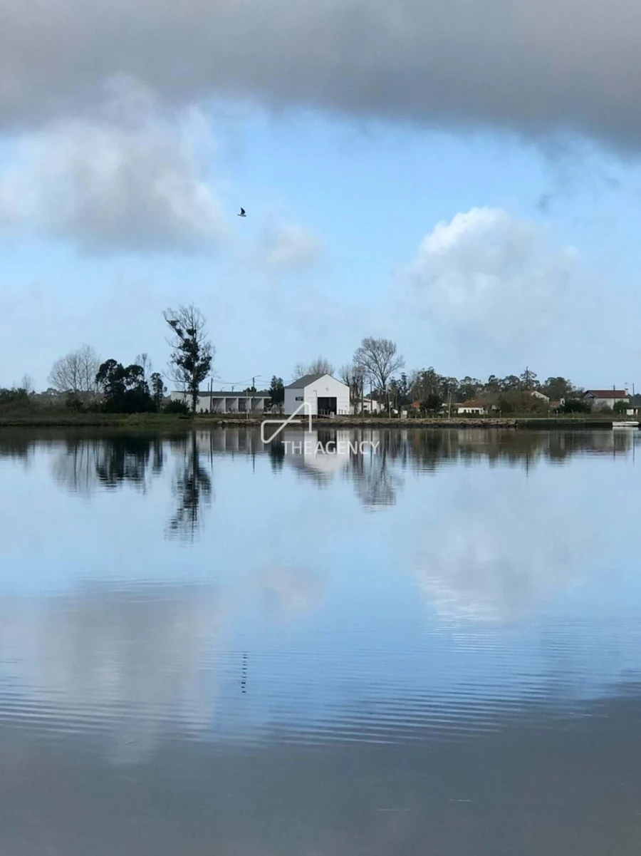 Quinta T10 para Venda em Ovar, São João, Arada e São Vicente de Pereira Jusã Foto 35