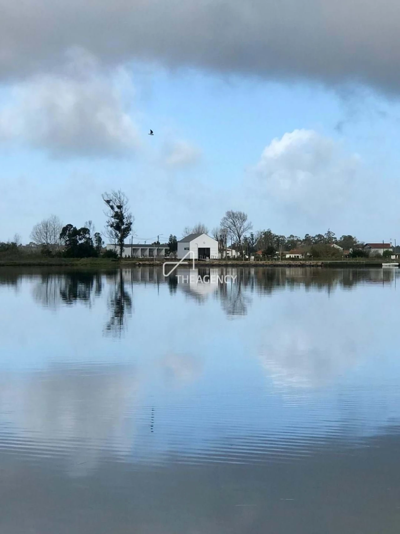 Quinta T10 para Venda em Ovar, São João, Arada e São Vicente de Pereira Jusã Foto 35