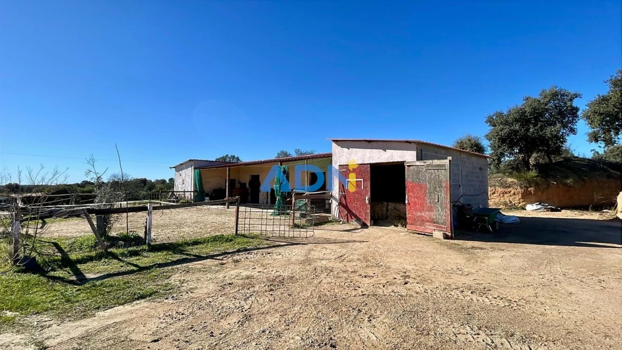 Quinta T1 para Venda em Castelo Branco Foto 52