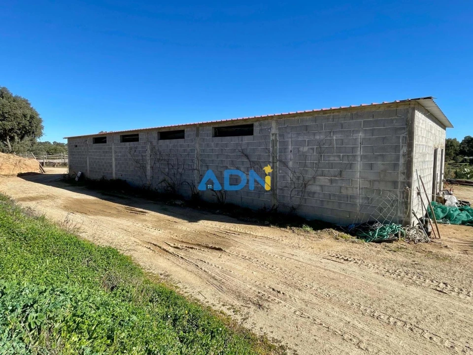 Quinta T1 para Venda em Castelo Branco Foto 58