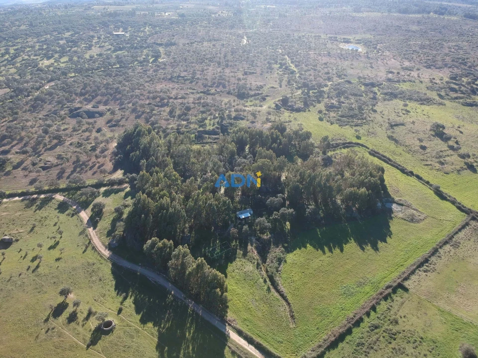 Quinta T1 para Venda em Castelo Branco Foto 70