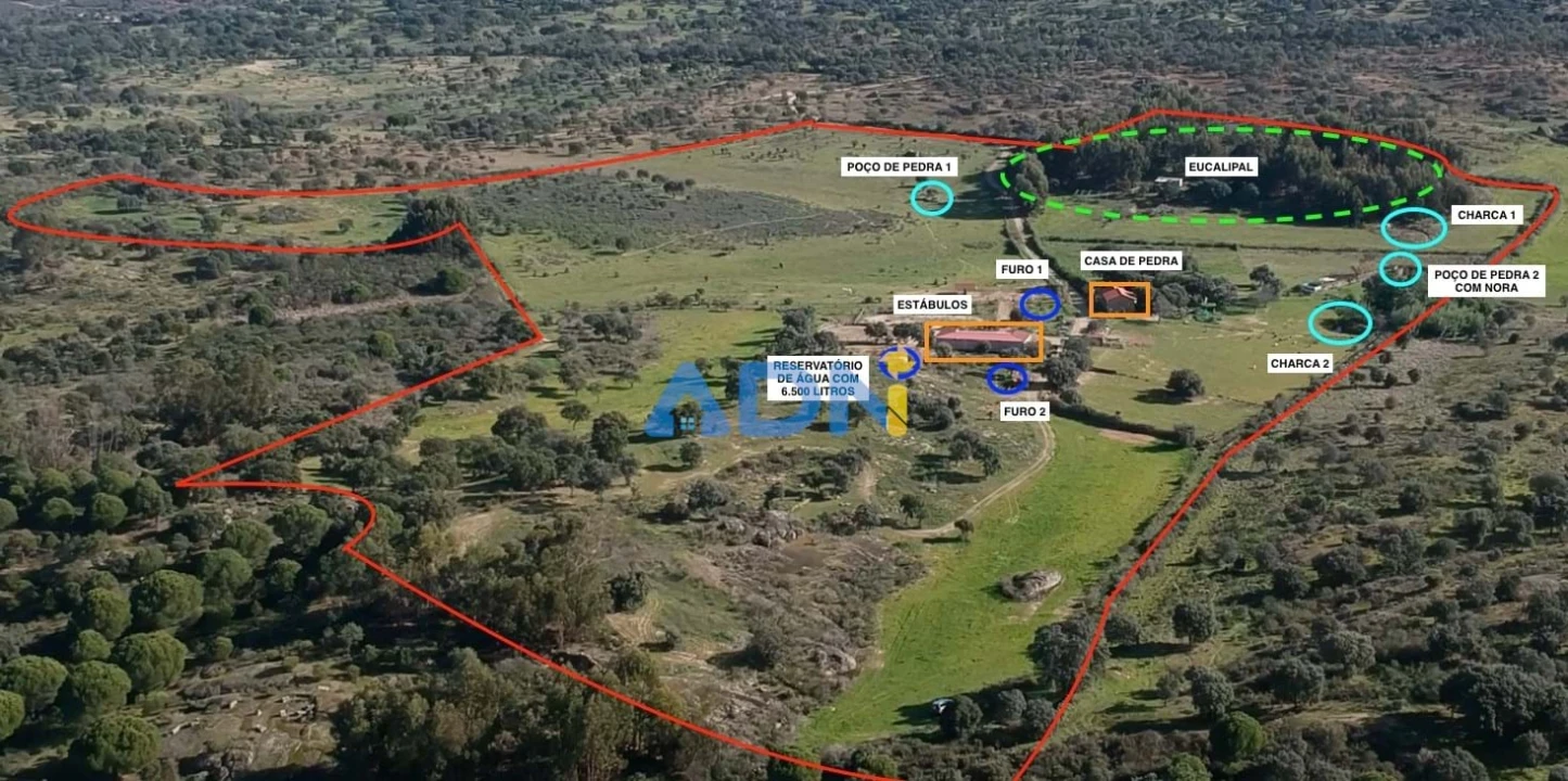 Quinta T1 para Venda em Castelo Branco Foto 2