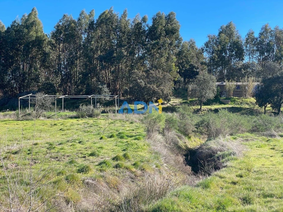 Quinta T1 para Venda em Castelo Branco Foto 71