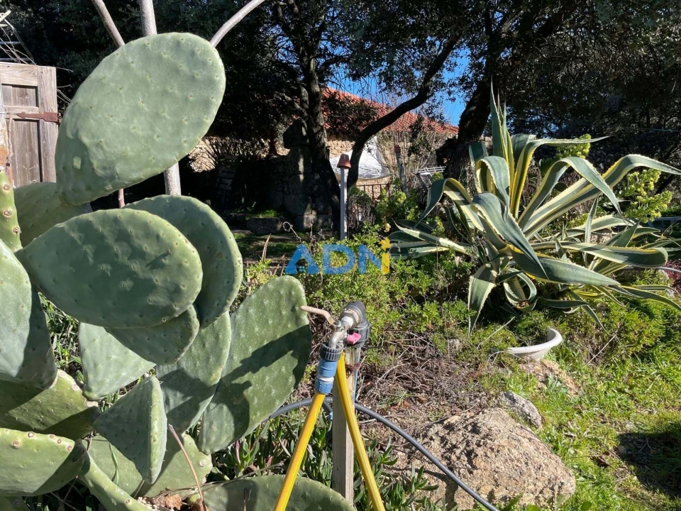 Quinta T1 para Venda em Castelo Branco Foto 29