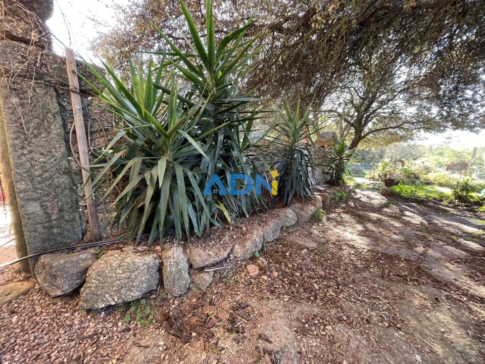 Quinta T1 para Venda em Castelo Branco Foto 27