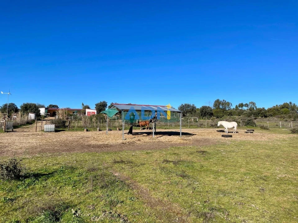 Quinta T1 para Venda em Castelo Branco Foto 45