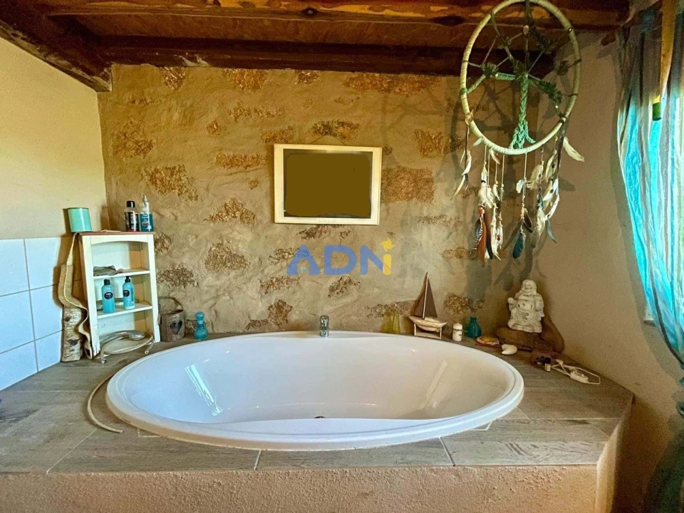 Quinta T1 para Venda em Castelo Branco Foto 18