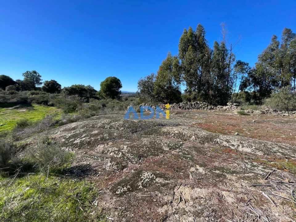 Quinta T1 para Venda em Castelo Branco Foto 74