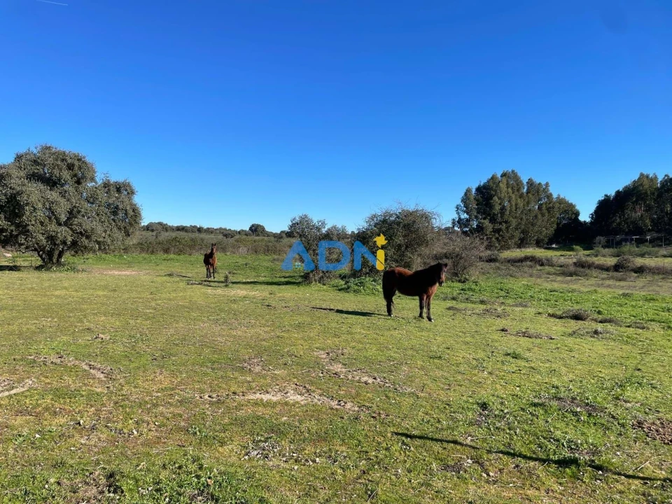 Quinta T1 para Venda em Castelo Branco Foto 68