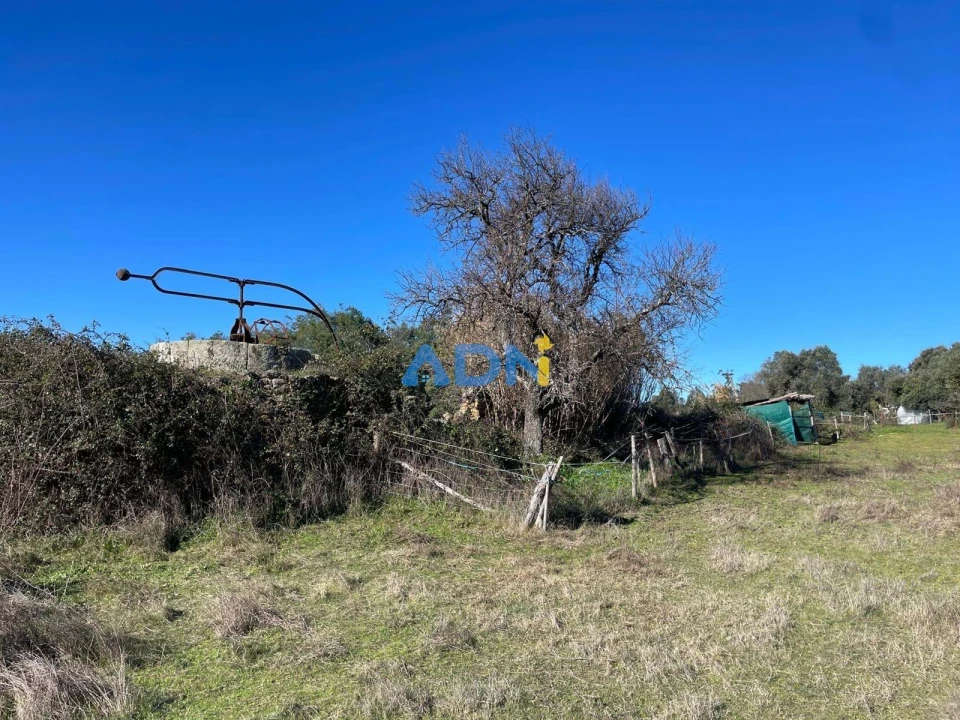 Quinta T1 para Venda em Castelo Branco Foto 64