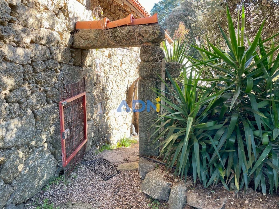 Quinta T1 para Venda em Castelo Branco Foto 7