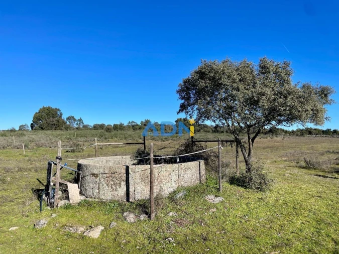 Quinta T1 para Venda em Castelo Branco Foto 35