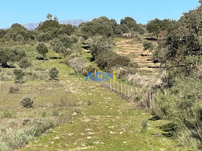 Quinta T1 para Venda em Castelo Branco Foto 81