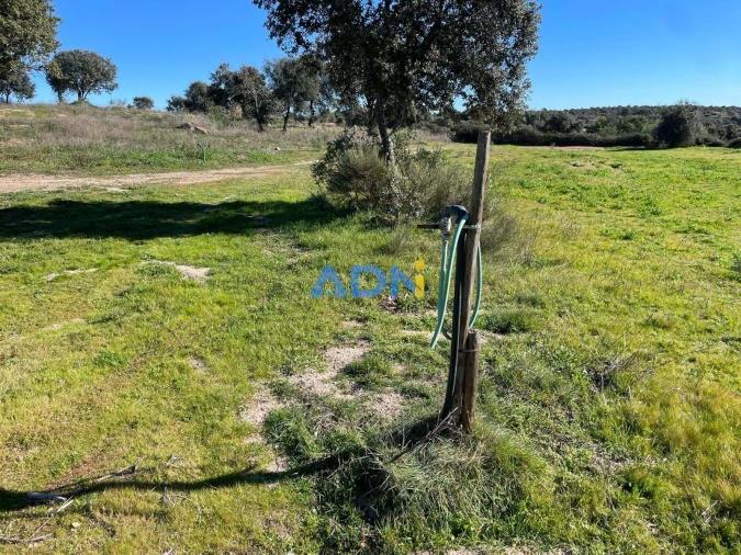Quinta T1 para Venda em Castelo Branco Foto 76
