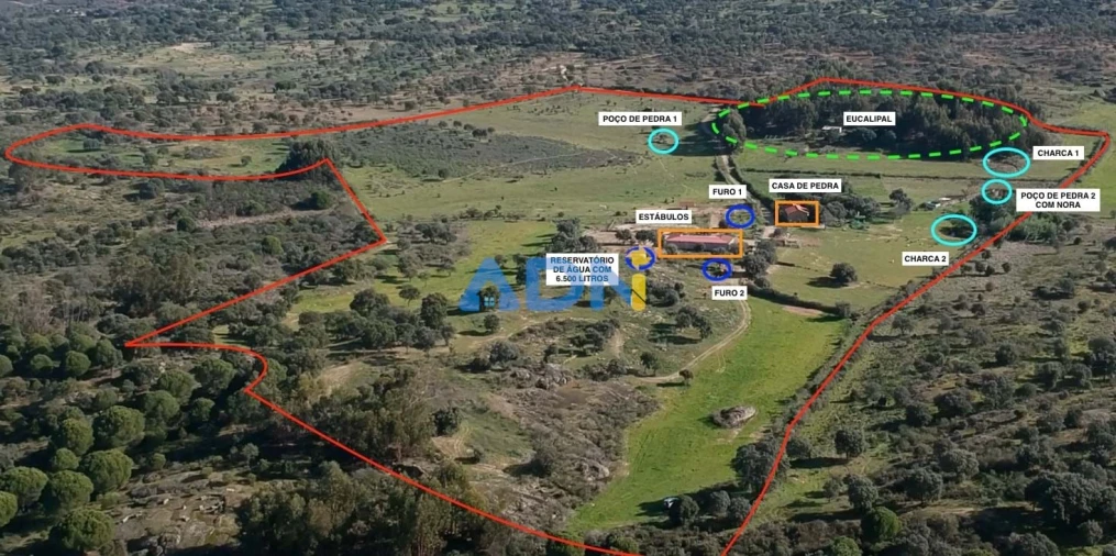 Quinta T1 para Venda em Castelo Branco Foto 2