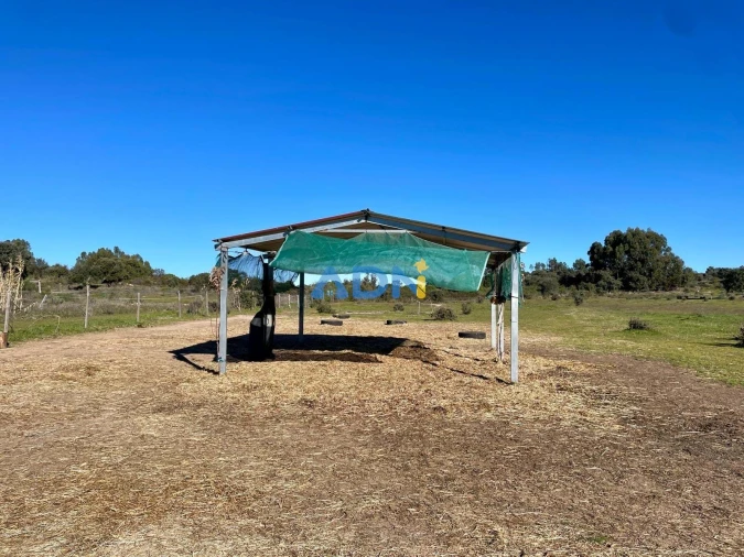 Quinta T1 para Venda em Castelo Branco Foto 46
